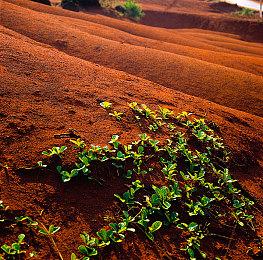 《采石场惊魂》使用了复联3特效技术 让角色更逼真